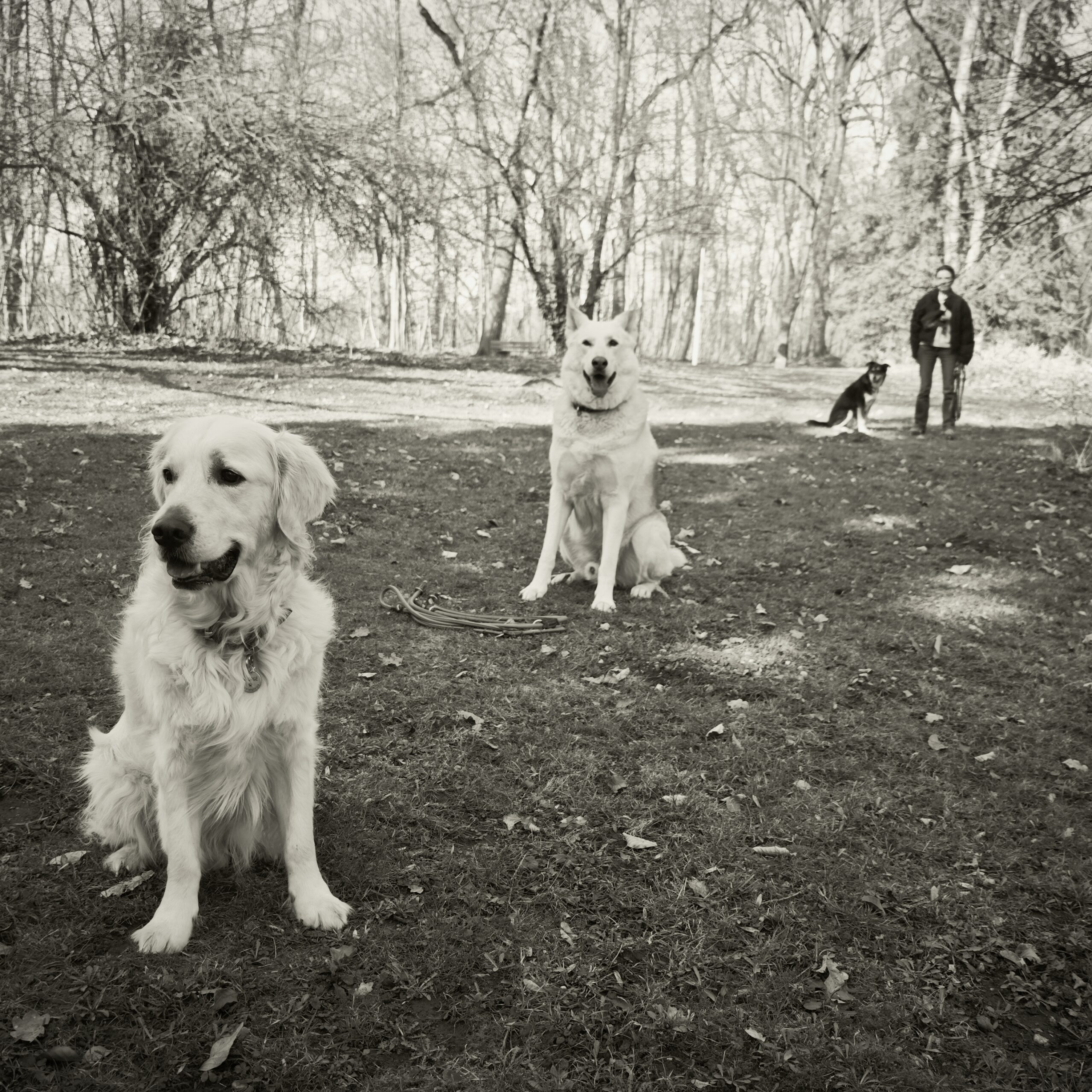 Gruppentraining im Park