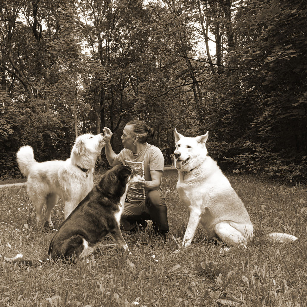 Entspannter Hund